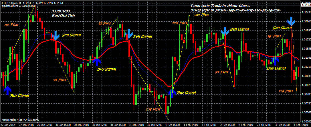 Forex 500 pips per day